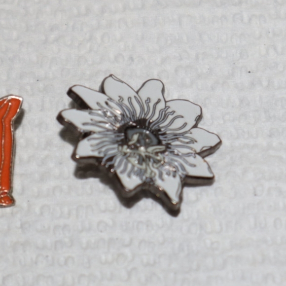 Lot of 7 Pins Flags 49ers etc.. - Picture 15 of 16